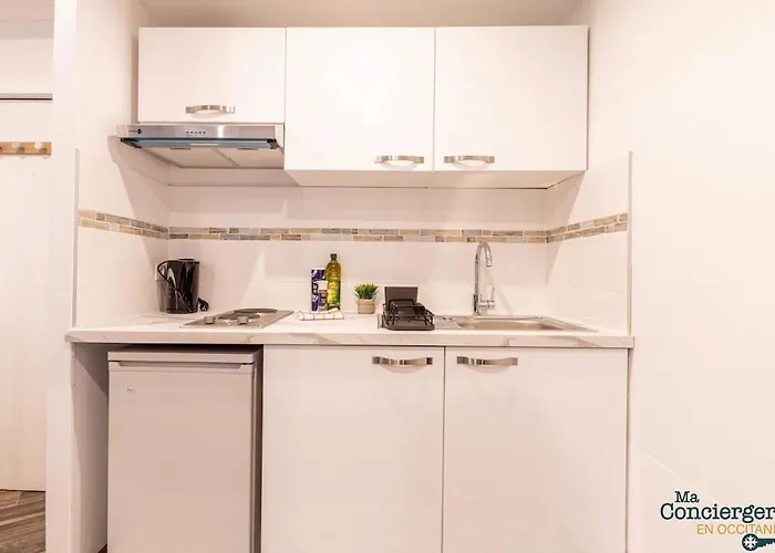 Apartment Grand Avec Espace De Travail